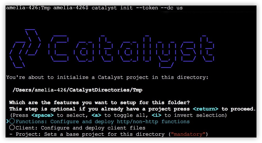 cli-options-online-help-catalyst