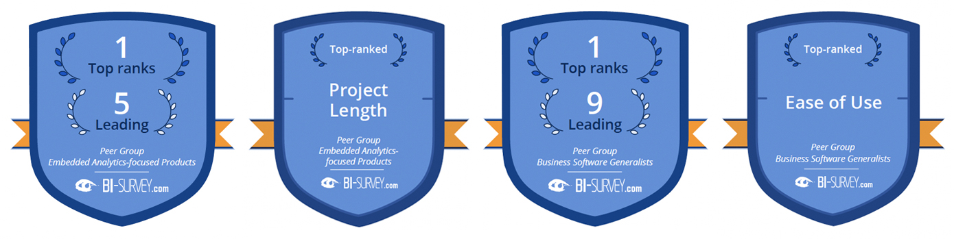 The BI and Analytics Survey 21