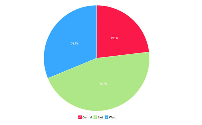 Pie chart data visualization