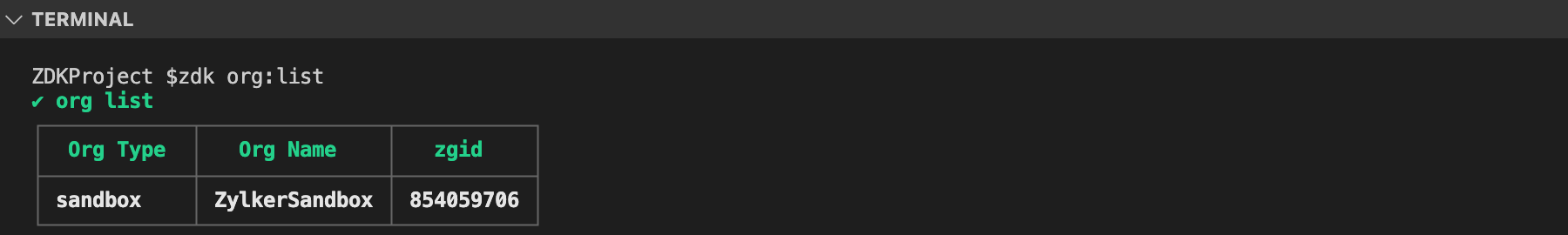 zdk org:list command executed in terminal 