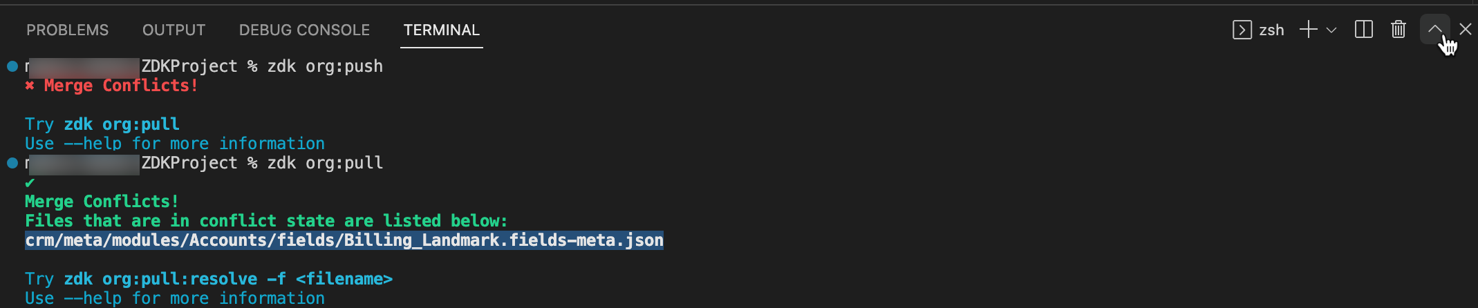 zdk org:pull command executed in terminal and conflict is present
