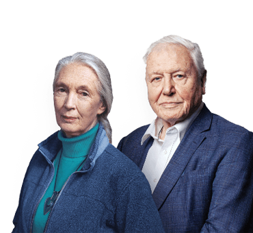 David Attenborough and Jane Goodall