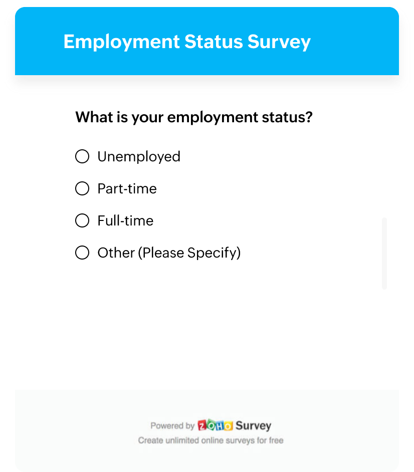 What Is A Survey (or Questionnaire)?